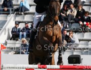 SCHUTTERT F WINCHESTER LaBaule2013- S4 9527 : 2013, La Baule, SCHUTTERT FRANK, WINCHESTER, foto di Stefano Secchi
